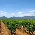 Frühstückspension Chateau De Jonquieres - Herault 3*