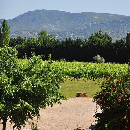 Chateau De Jonquieres - Herault Jonquieres (Herault)