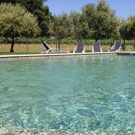 Chateau De Jonquieres - Herault Frühstückspension Jonquieres (Herault)