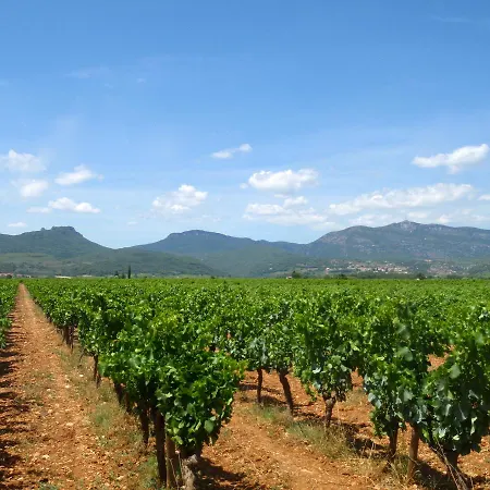 Bed & Breakfast Château De Jonquières - Hérault 3*