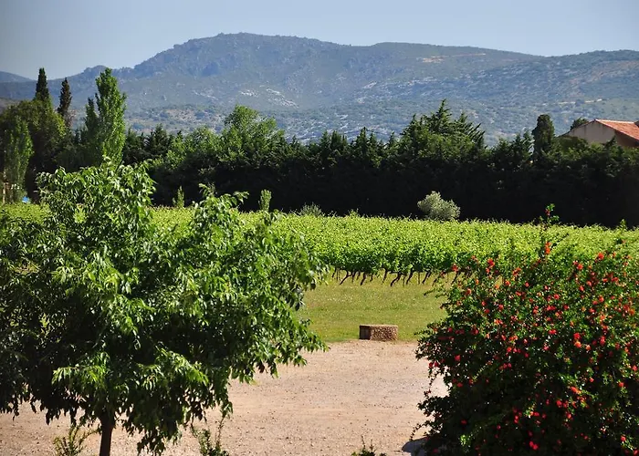 Chateau De Jonquieres - Herault Jonquieres (Herault)