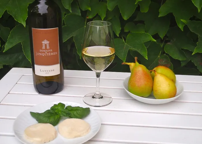 Chateau De Jonquieres - Herault 3*