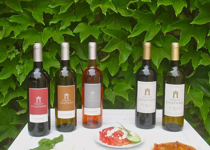 Bed and Breakfast Chateau De Jonquieres - Herault Jonquieres (Herault)